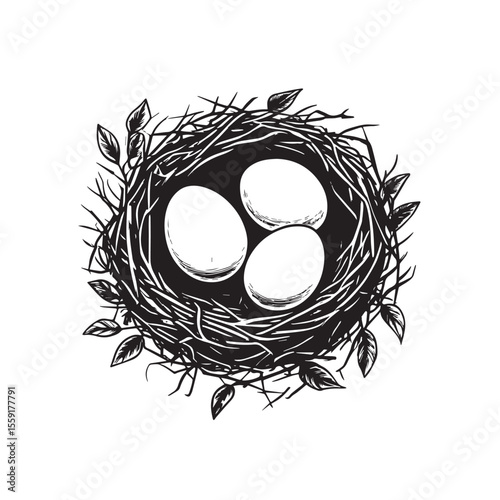 Minimalist design of eggs in Nest