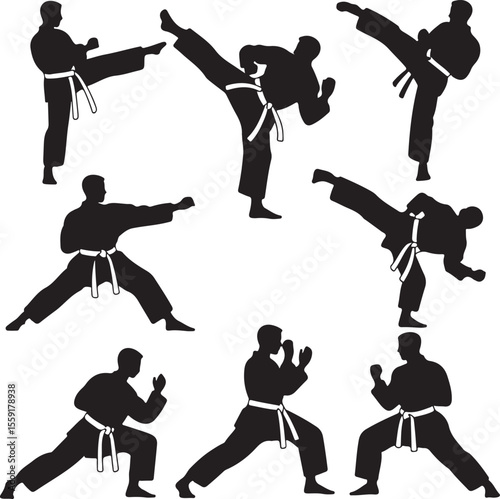 Silhouette illustrations of karate practitioners performing martial arts movements and combat techniques