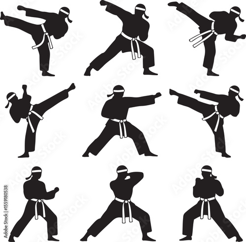 Silhouetted martial arts figures demonstrating kicks punches and stances in karate or similar discipline