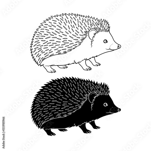 Two hedgehogs one in outline and one in solid black on a white background in a side view illustration