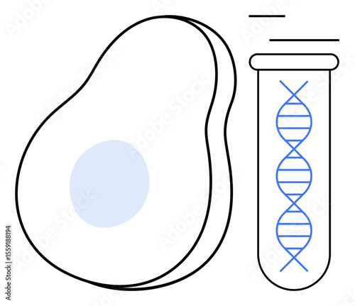 Avocado paired with a test tube containing a DNA strand emphasizes genetic research, biotech, and food science. Ideal for innovation, agriculture, health, nutrition, sustainability, technology