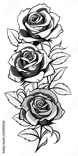 Three roses in black and white artwork on transparent background silhouette