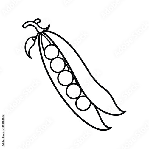 green peas line drawing illustration