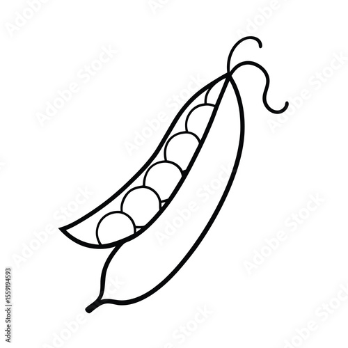 green peas line drawing illustration