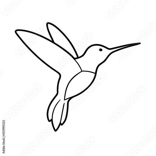 hummingbird flying drinking nectar outline art