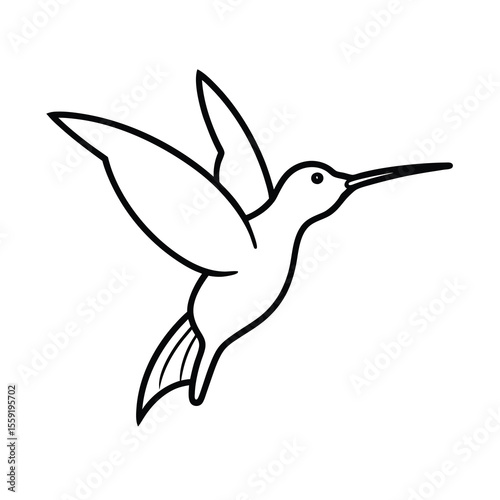 hummingbird flying drinking nectar outline art
