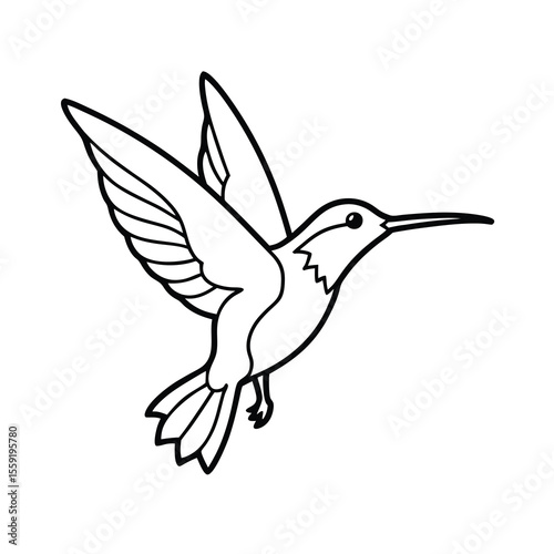 hummingbird flying drinking nectar outline art