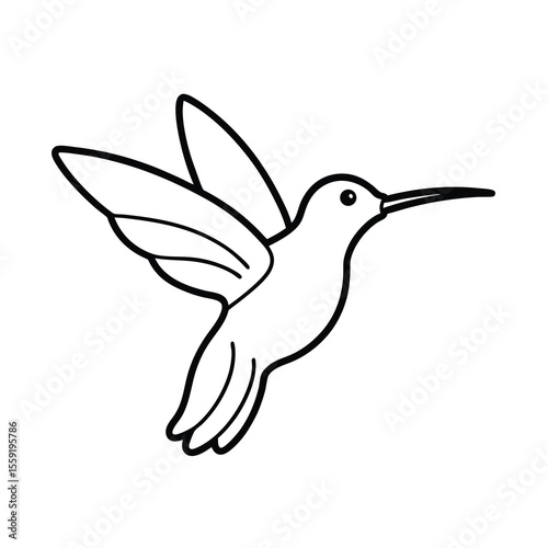 hummingbird flying drinking nectar outline art