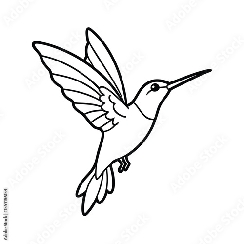 hummingbird flying drinking nectar outline art