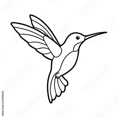 hummingbird flying drinking nectar outline art