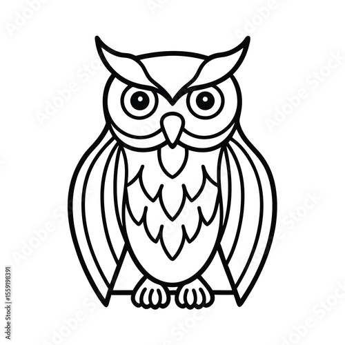 owl on a white background