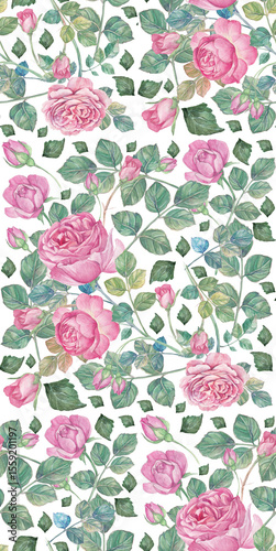 Fototapeta Naklejka Na Ścianę i Meble -  Delicate floral pattern of pink roses and green leaves in watercolor style