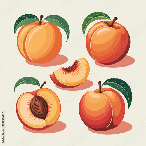 Delicious peaches illustration: fresh peach fruit, peach slice, and peach half for healthy eating ideas.