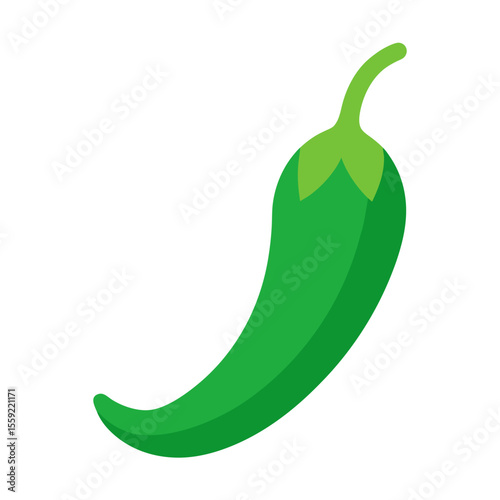 vector illustration of a green pepper
