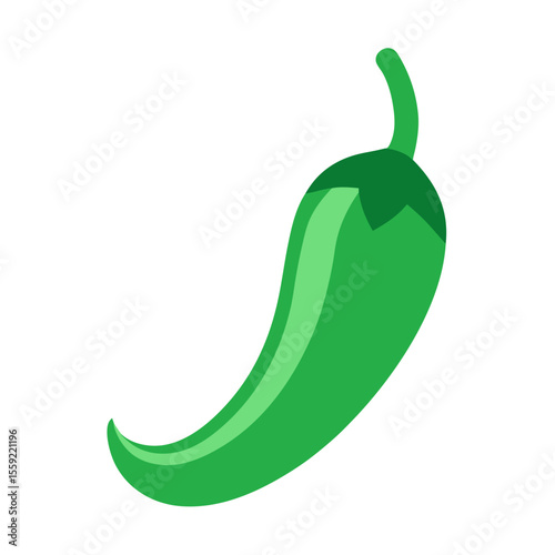 vector illustration of a green chili pepper