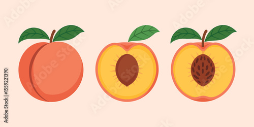 Illustration of fresh peach fruit whole and cut in half showing the seed, a healthy summer fruit treat