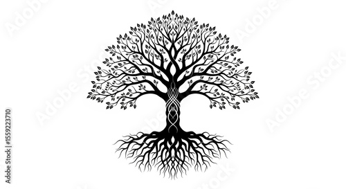 Black and white tree of life with intricate roots and branches symbolizing growth and connection photo