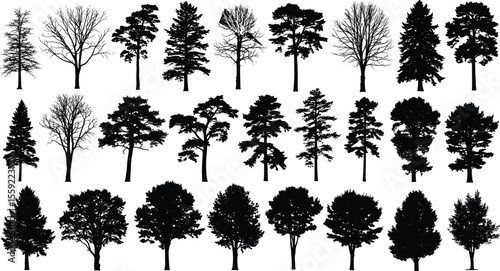 Tree silhouettes collection, botanical shapes, forest design, natural variety, conifer outlines, deciduous trees, bare branches, organic forms,