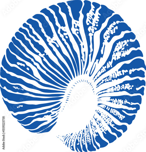 grunge vector abstract blue seashell