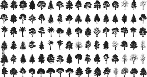 Tree silhouettes, botanical shapes, forest elements, natural diversity, conifer outlines, deciduous trees, palm silhouettes
