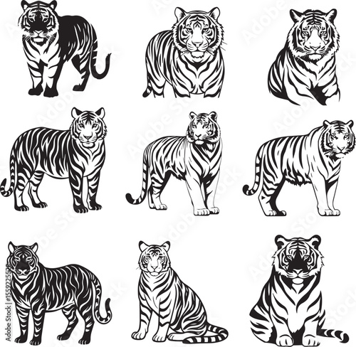 Tiger Animal Silhouette Vector set – Hunting and Relaxing Poses