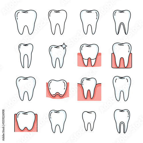 Dental Health Illustrations Teeth Anatomy, Gum Health, and Oral Hygiene