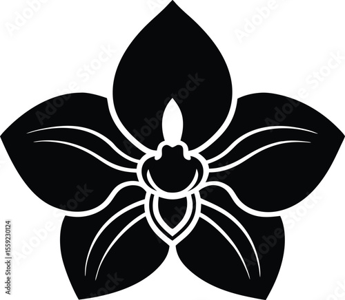 Orchid Blossom: A minimalist monochrome design showcases the exquisite orchid, emphasizing its elegant and symmetrical petals. The stark contrast enhances the flower's beauty.