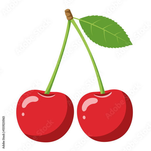Two cherries with green leaf on the stem in bright red color, vector design