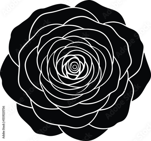 Elegant Bloom Silhouette: An exquisite rose, rendered in a stark black silhouette, its petals meticulously detailed to showcase the delicate beauty of nature's design.