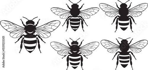 Bee Insect Silhouette on White Background vector illustration