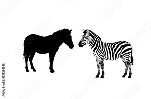 Zebra Equine Animals Vector Silhouette and Line Art