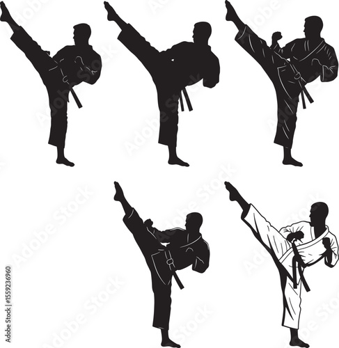 Karateka Martial Arts Pose Silhouette Vector Set vector illustration