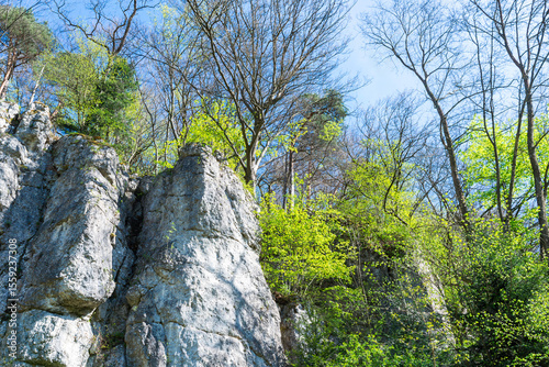 Fototapeta Naklejka Na Ścianę i Meble -  Limestone rock formations surrounded by spring forest with bright green trees and clear blue sky in Ojców National Park, Poland. Scenic natural landscape with dramatic cliffs and fresh foliage.