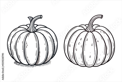 Halloween Pumpkin outline  Set with Spooky Faces and Festive Decorations
