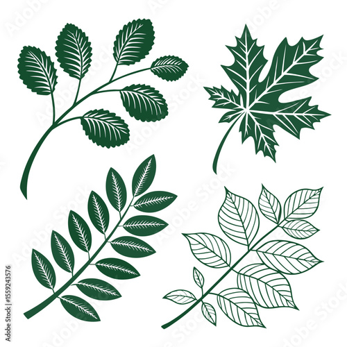 vector set of green leaves