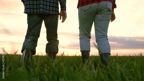 Man and woman agronomist going on green wheat sunset field back view closeup. Couple farmer agricultural workers walking together at natural organic plant harvest grass plantation cinematic sky
