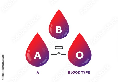 A simple yet effective illustration depicting three blood drops, labeled A, B, and O, connected by lines, representing the ABO blood type system. The gradient colors of the drops add visual appeal.