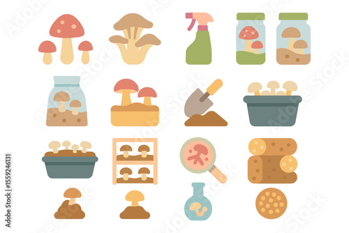 Mushroom cultivation vector illustration: flat style elements for educational design