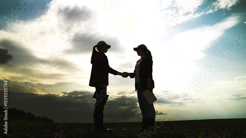 silhouette handshake, business partner agriculture, teamwork, group people team together handshake, upper golden people, meeting, group people agreement, cooperation business handshake, handshake