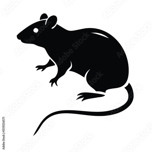 Rat silhouette isolated on white background. Vector illustration