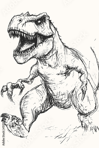 Minimilist illustration of a tyrannosaurus rex with open mouth and sharp teeth in black and white drawing style vector