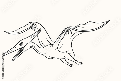 Minimilist illustration of a pterodactyl in flight with its mouth open and wings spread on a white background. vector