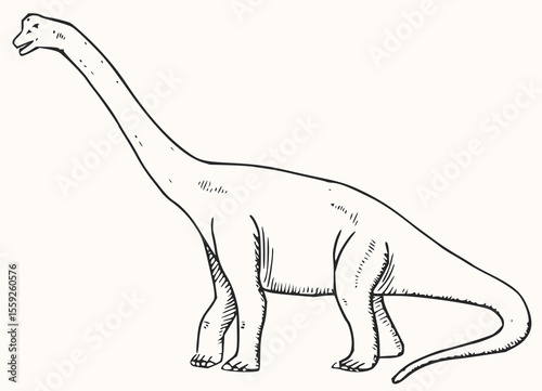 Minimilist illustration of a brachiosaurus dinosaur with long neck and tail standing in side view in black outline vector