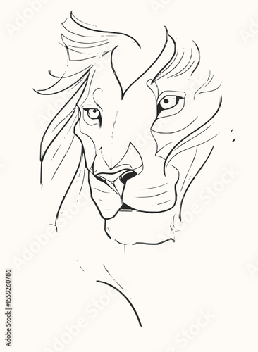 Minimilist lion face sketch with detailed mane and facial features in black and white artistic rendering style vector