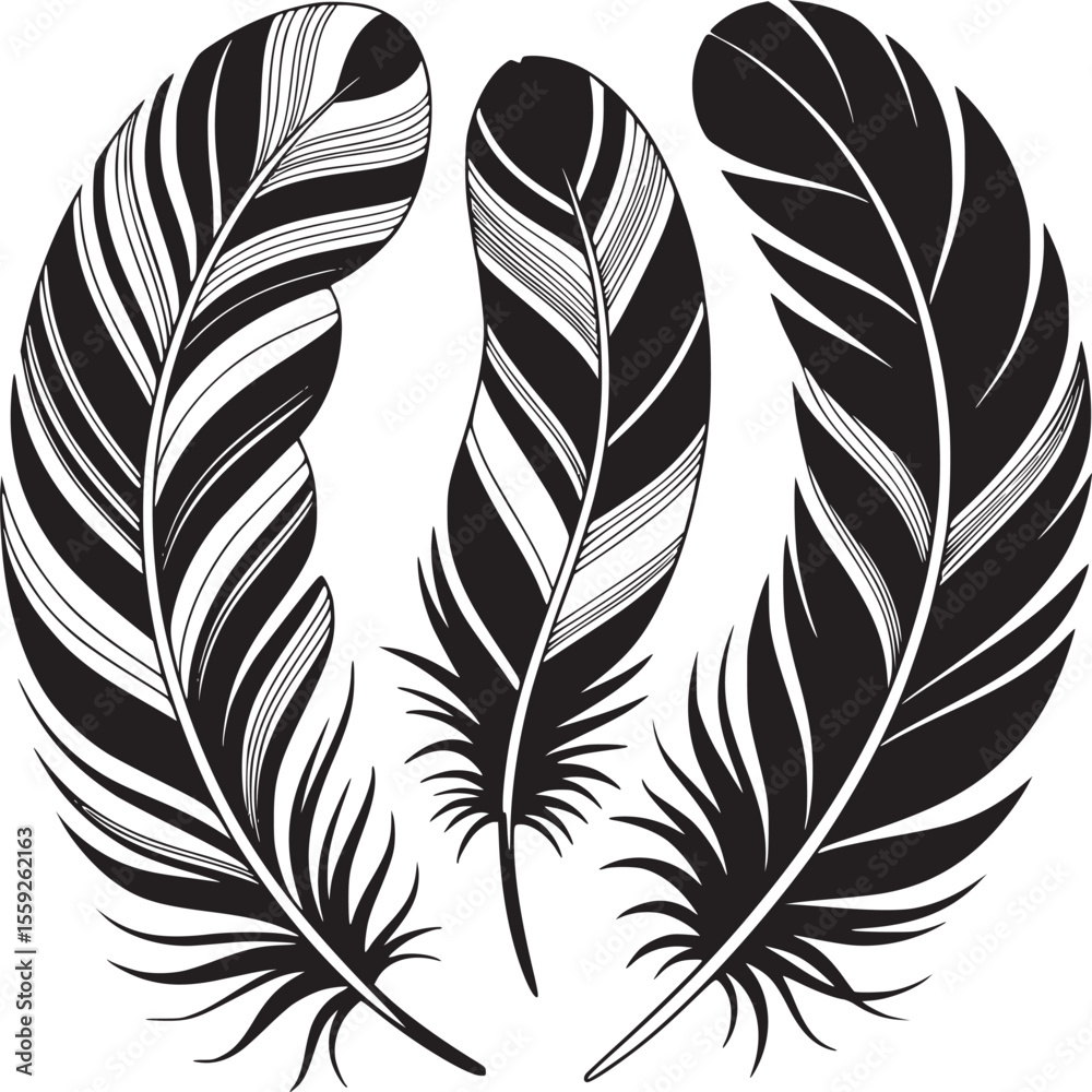 Obraz premium Three monochrome feathers with detailed line work arranged in a semi circle on a white background