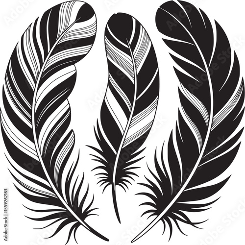 Three monochrome feathers with detailed line work arranged in a semi circle on a white background