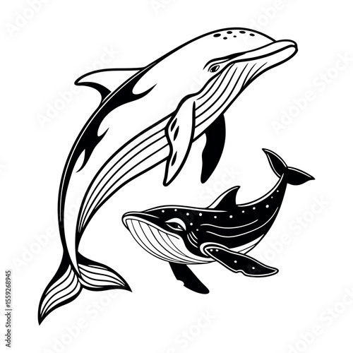 Oceanic Wonders Dolphin and Whale Illustration