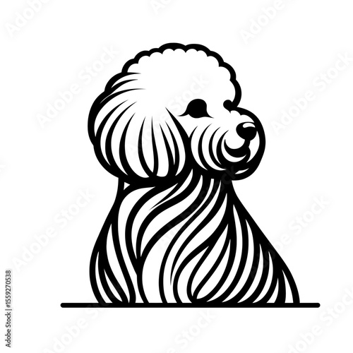 Bichon frise dog, vector, designed in black strokes and lines. Pets, love and care for animals, adoption fair. Types of breeds, grooming salon
