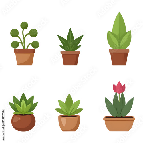 Various potted plants in colorful pots on white background  