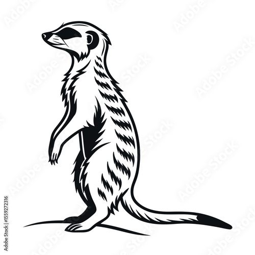 Majestic Meerkat A Black and White Illustration